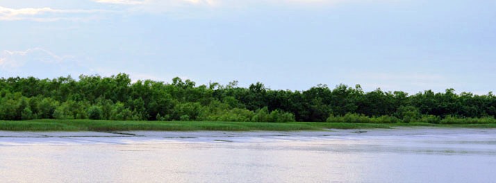 1856/Sunderban Tiger Camp - Sunderban 07.jpg